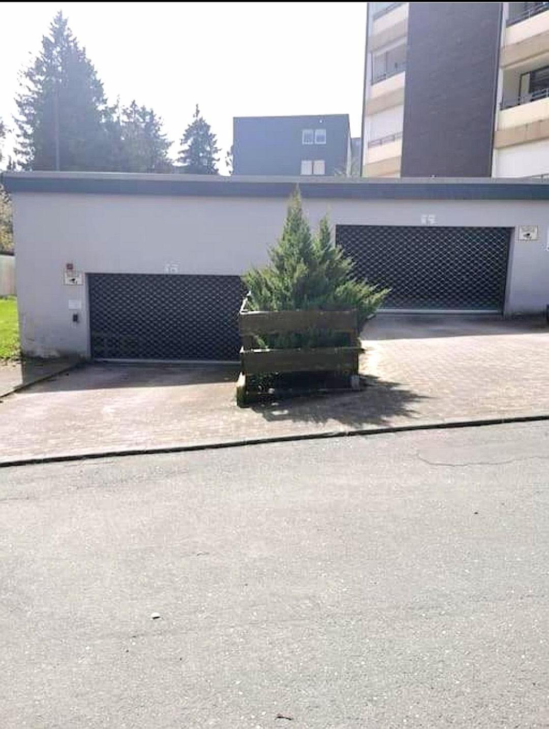 Apartment Sauerland Downhill&skilift